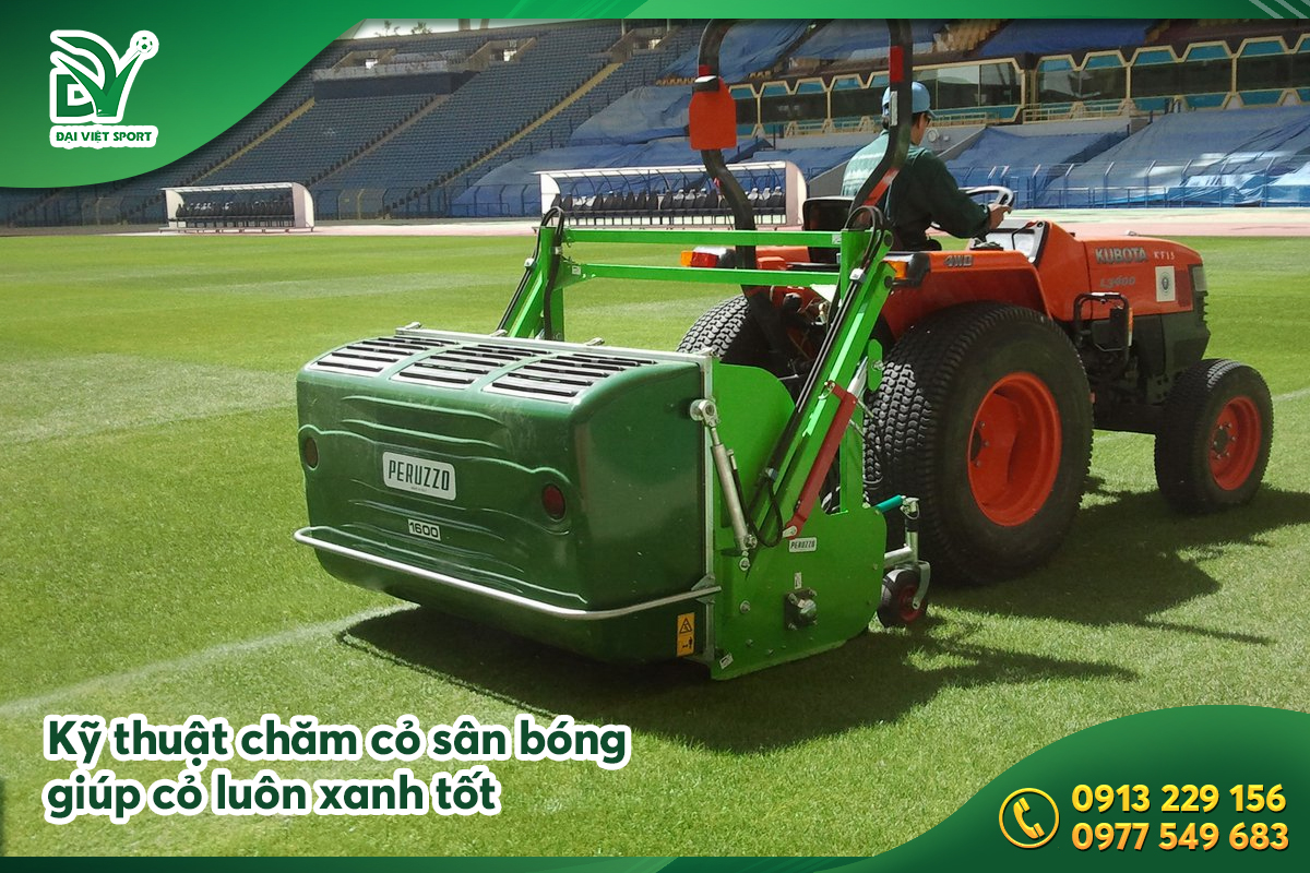 Tổng hợp kỹ thuật chăm cỏ sân bóng hiệu quả – Giúp cỏ luôn xanh mượt, bền đẹp, đạt chuẩn thi đấu và tiết kiệm chi phí bảo dưỡng.